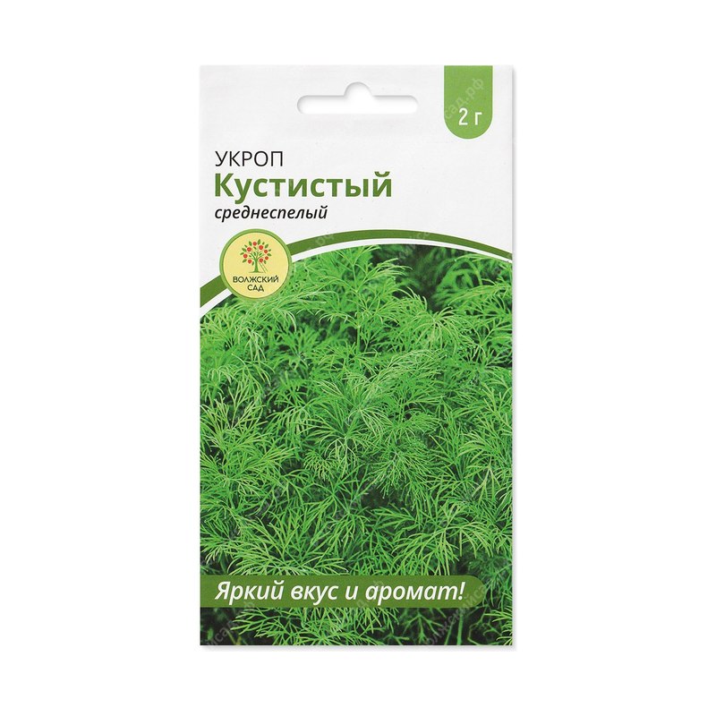 Семена укропа Кустистый (2г)