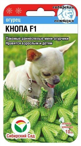 Огурец Кнопа F1 7шт Сибирский Сад