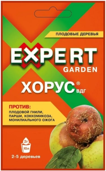 ХОРУС 2гр
