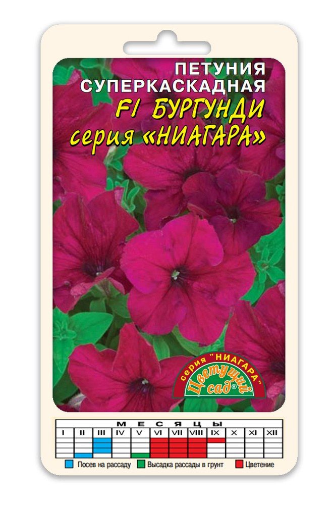 Петуния Каскад Бургунди Ниагара