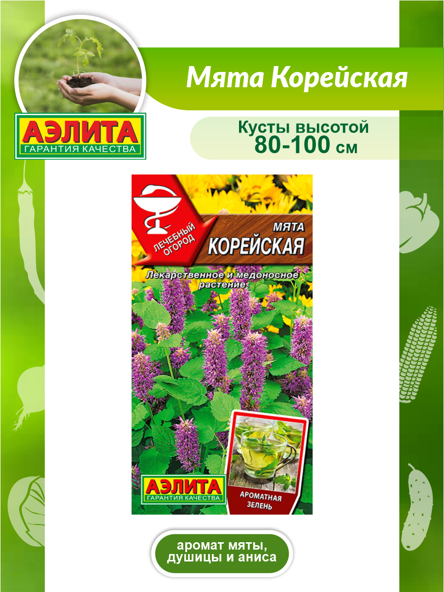 Семена мята корейская Аэлита 0,05г