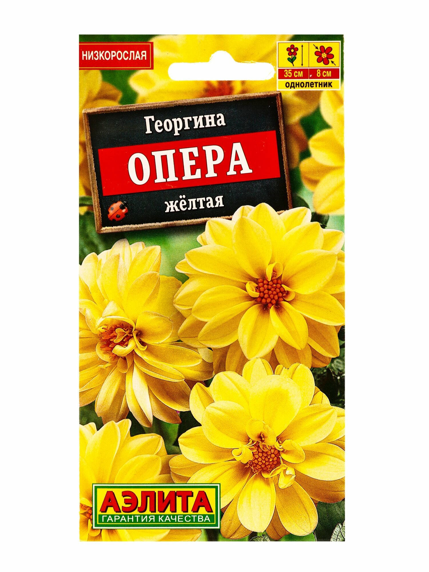 Георгина Опера жёлтая 7шт