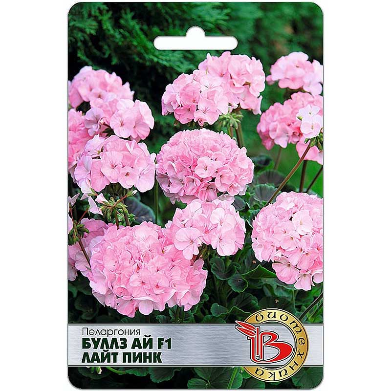Пеларгония Bullz Ай Лайт Пинк