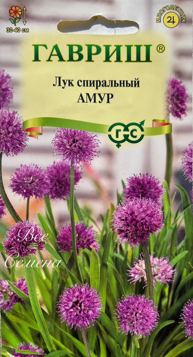Лук декоративный спиральный Амур