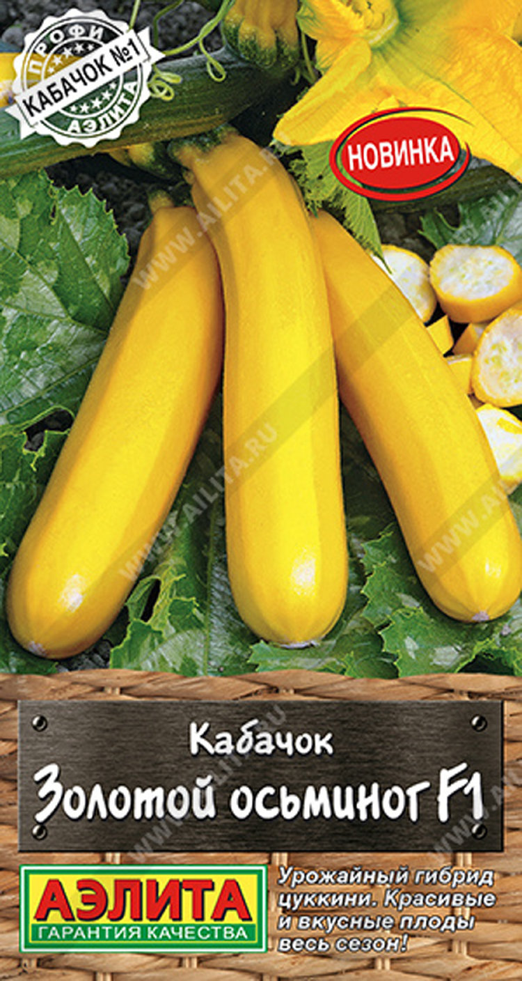 Кабачок мЗолотой осьминог цуккини